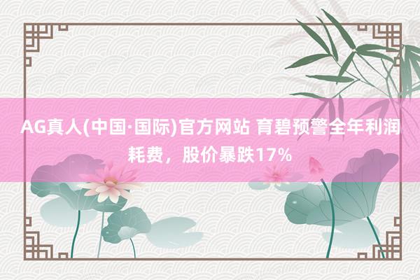 AG真人(中国·国际)官方网站 育碧预警全年利润耗费,股价暴跌17%