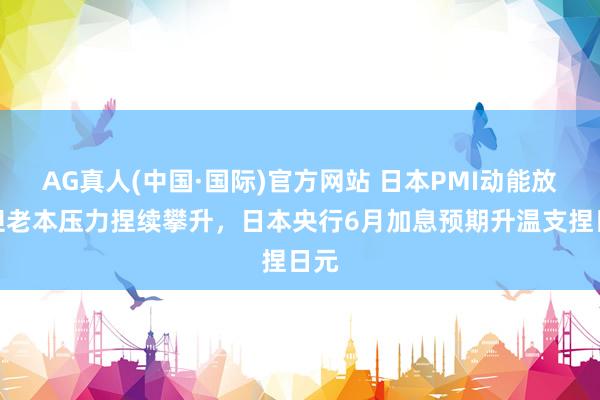AG真人(中国·国际)官方网站 日本PMI动能放缓但老本压力捏续攀升,日本央行6月加息预期升温支捏日元