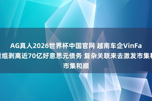 AG真人2026世界杯中国官网 越南车企VinFast重组剥离近70亿好意思元债务 复杂关联来去激发市集和顺