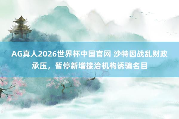 AG真人2026世界杯中国官网 沙特因战乱财政承压，暂停新增接洽机构诱骗名目