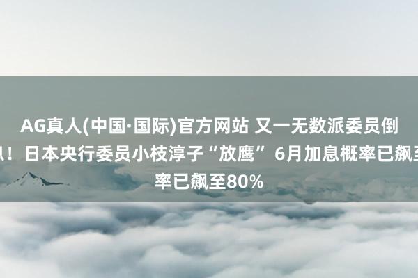 AG真人(中国·国际)官方网站 又一无数派委员倒向加息!日本央行委员小枝淳子“放鹰” 6月加息概率已飙至80%