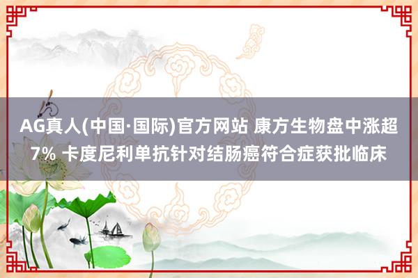 AG真人(中国·国际)官方网站 康方生物盘中涨超7% 卡度尼利单抗针对结肠癌符合症获批临床