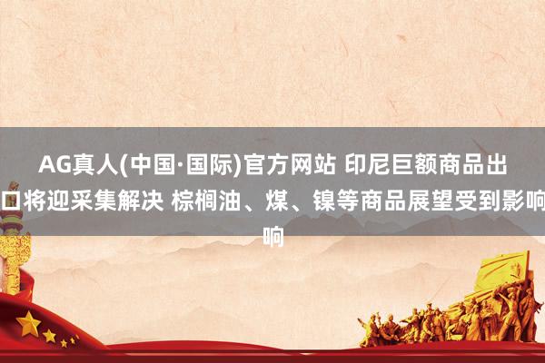 AG真人(中国·国际)官方网站 印尼巨额商品出口将迎采集解决 棕榈油、煤、镍等商品展望受到影响