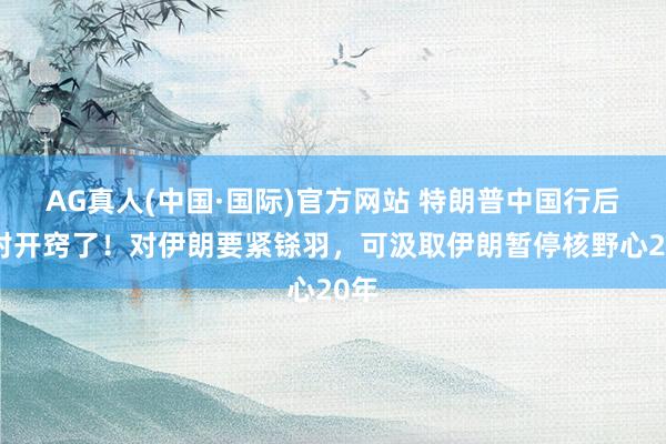 AG真人(中国·国际)官方网站 特朗普中国行后绝对开窍了！对伊朗要紧铩羽，可汲取伊朗暂停核野心20年