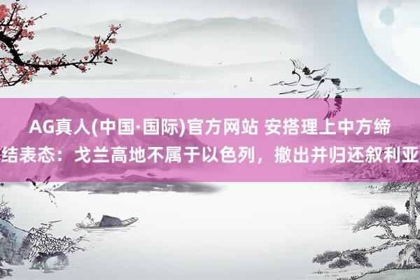 AG真人(中国·国际)官方网站 安搭理上中方缔结表态：戈兰高地不属于以色列，撤出并归还叙利亚