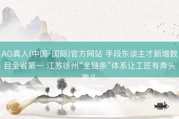 AG真人(中国·国际)官方网站 手段东谈主才新增数目全省第一 江苏徐州“全链条”体系让工匠有奔头