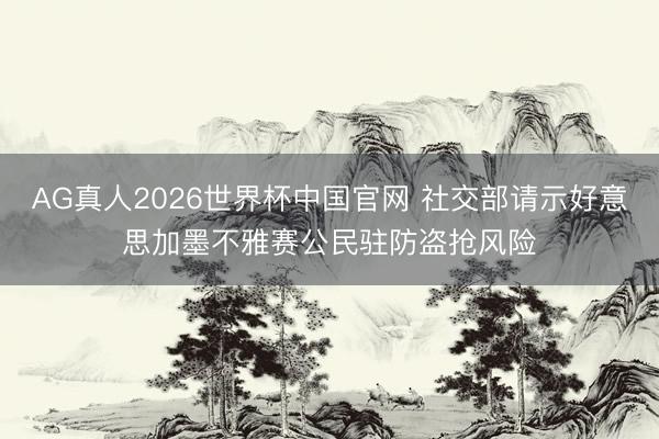 AG真人2026世界杯中国官网 社交部请示好意思加墨不雅赛公民驻防盗抢风险