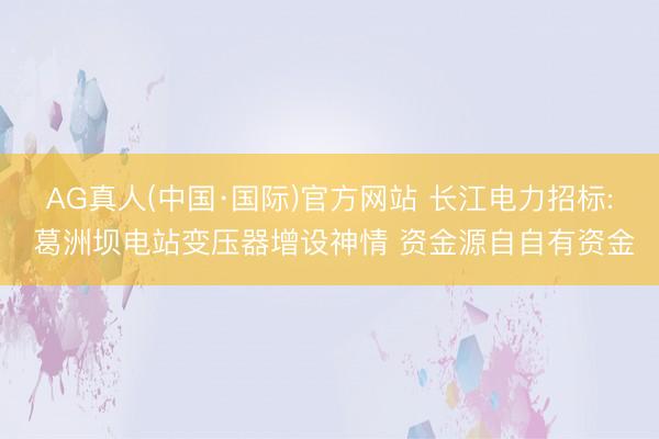 AG真人(中国·国际)官方网站 长江电力招标: 葛洲坝电站变压器增设神情 资金源自自有资金